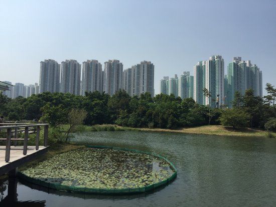 Tin Shui Wai Park